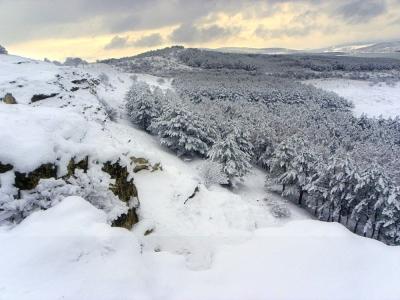 Прикрепленное изображение: 4887375_large.jpg